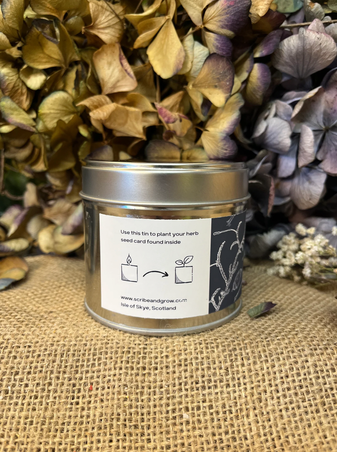 'GROW CANDLE' | BOTHY BALLAD