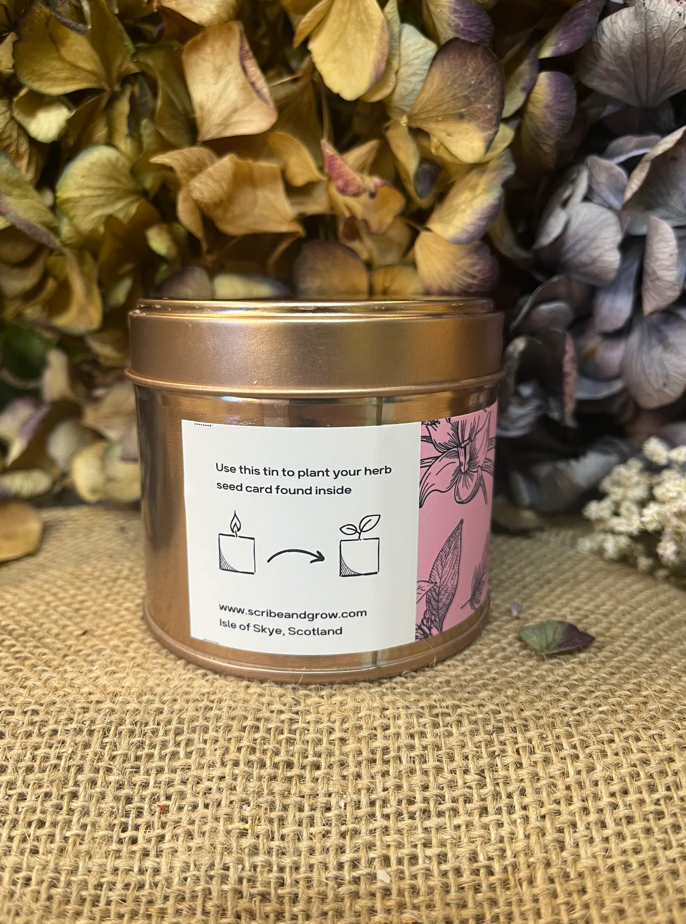 'GROW CANDLE' | FAIRY GLEN