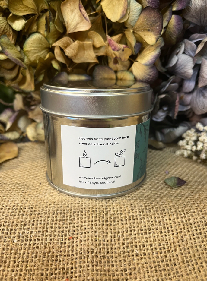 'GROW CANDLE' | SEAWEED & JUNIPER