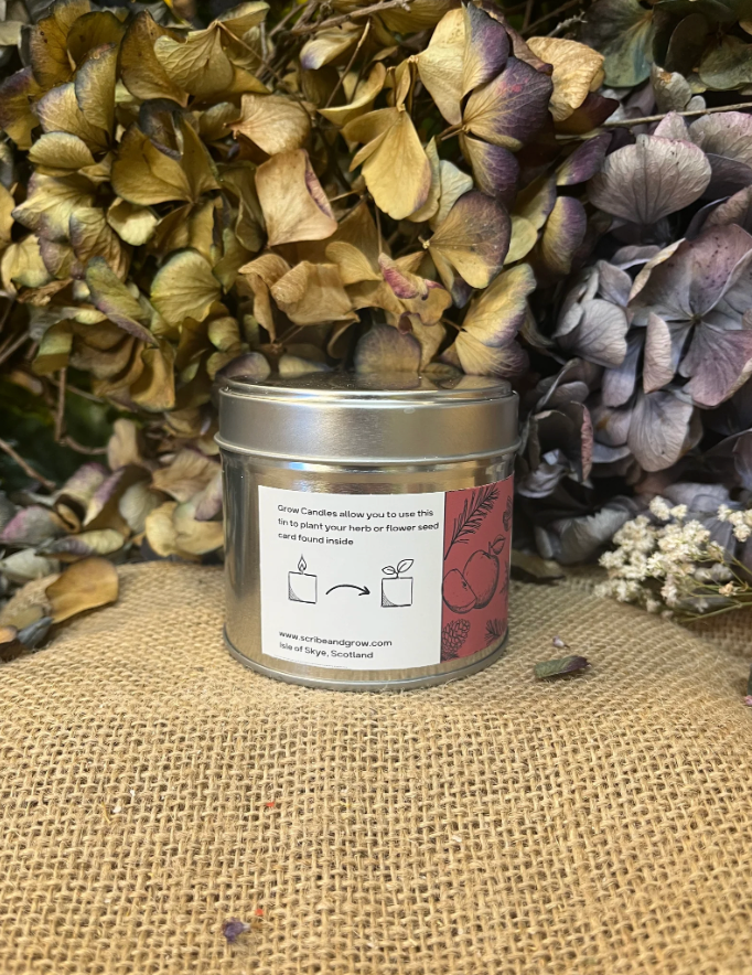 'GROW CANDLE' | APPLE & CINNAMON