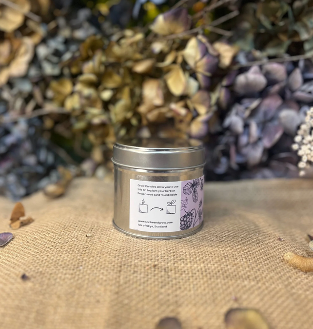 'GROW CANDLE' | BRAMBLE & PLUM