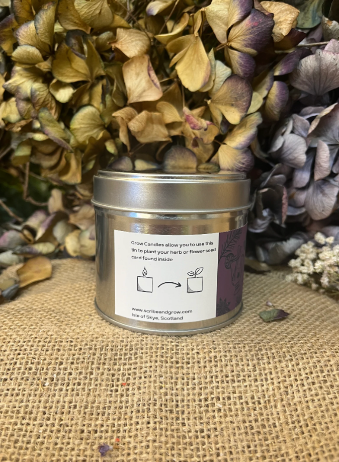 'GROW CANDLE' | MULLED WINE