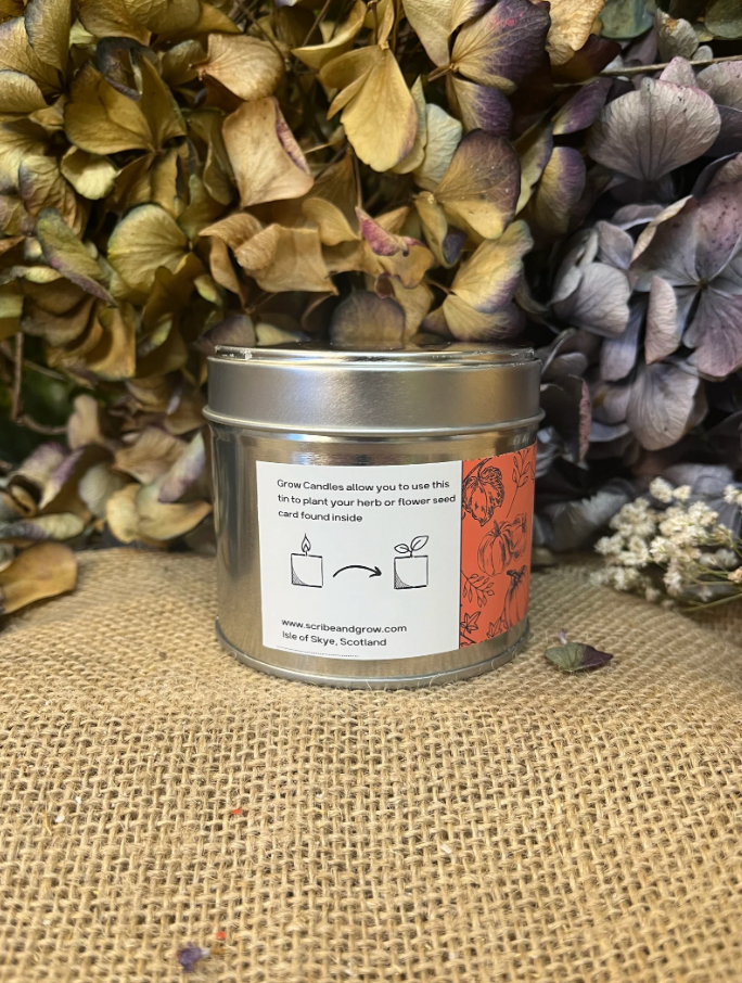 'GROW CANDLE' | PUMPKIN SPICE