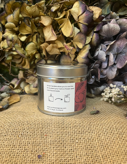 'GROW CANDLE' | APPLE & CINNAMON